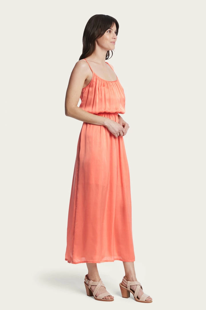 The Frye Company Slip Dress 6 The Frye Company Slip Dress