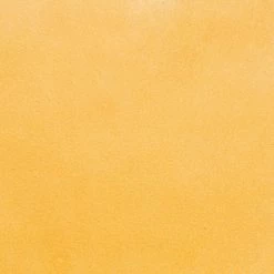 The Frye Company Melissa Shopper BAGS & ACCESSORIES