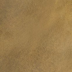 The Frye Company Harness 12R SHOES