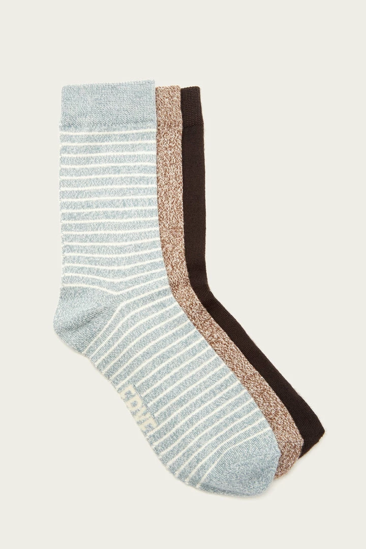 The Frye Company BAGS & ACCESSORIES 3 Pack Stripe Supersoft Crew Sock - Women 3 The Frye Company BAGS & ACCESSORIES 3 Pack Stripe Supersoft Crew Sock - Women
