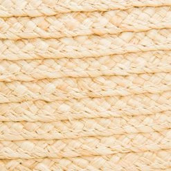 The Frye Company Bags & Accessories Raffia Harness Hat