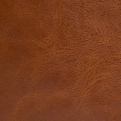 The Frye Company Melissa Small Tote Crossbody