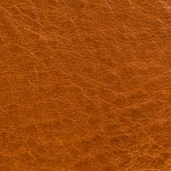 The Frye Company Cut Out Mini Saddle 10 The Frye Company Cut Out Mini Saddle