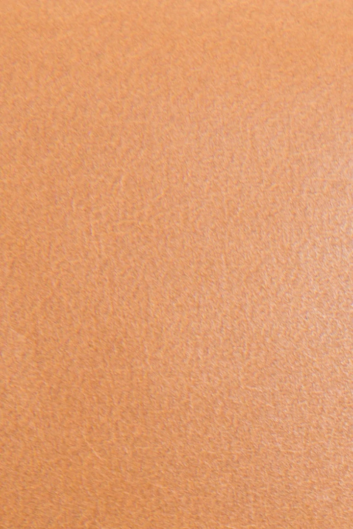 The Frye Company Farrah Saddle 6 The Frye Company Farrah Saddle