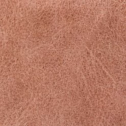 The Frye Company Melissa Button Crossbody