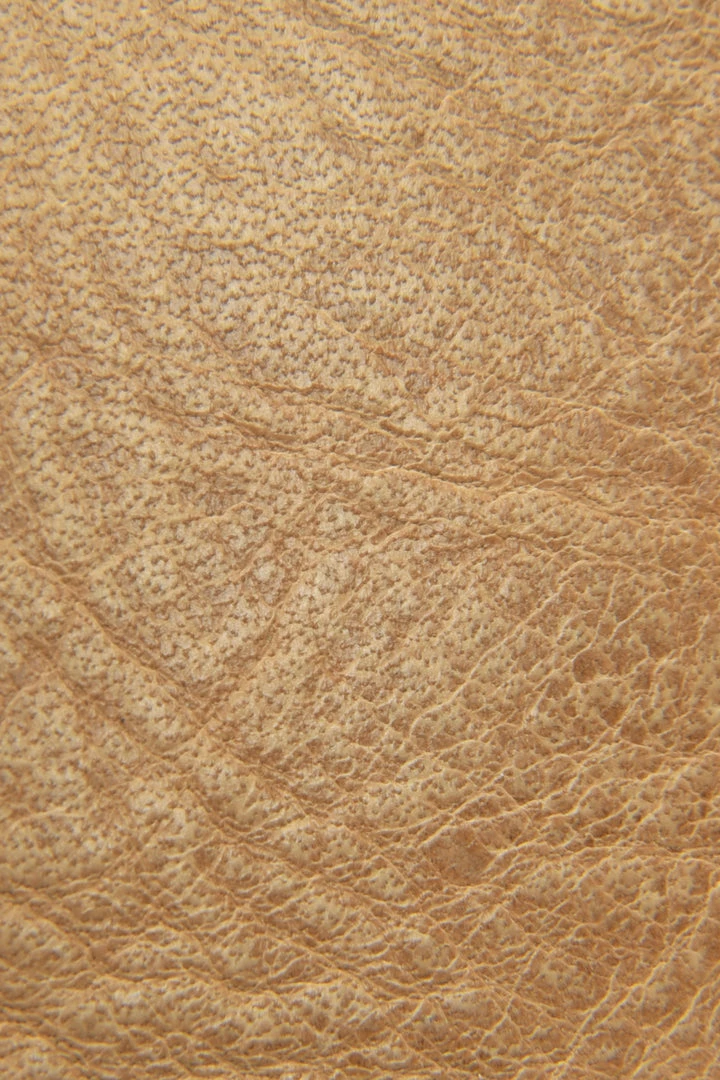 The Frye Company Melissa Shoulder 6 The Frye Company Melissa Shoulder