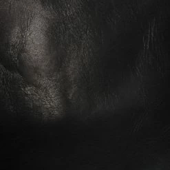 The Frye Company Melissa Hobo Bags & Accessories