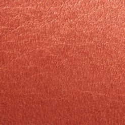 The Frye Company Robin Slide