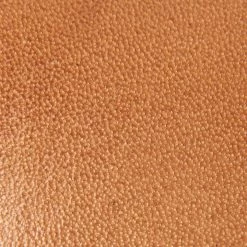 The Frye Company Women Sara Harness Sandal