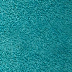 The Frye Company Azalea Logo Flip Flop Women