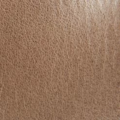 The Frye Company Flynn Short Inside Zip Women