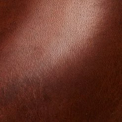 The Frye Company Lena Harness Bootie Women