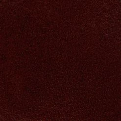 The Frye Company Faye Concho Short Women