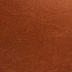 The Frye Company SHOES Ray Harness Back Zip