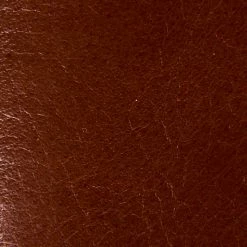 The Frye Company Women Remy Chelsea