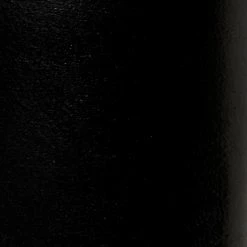 The Frye Company Melissa Inside Zip SHOES