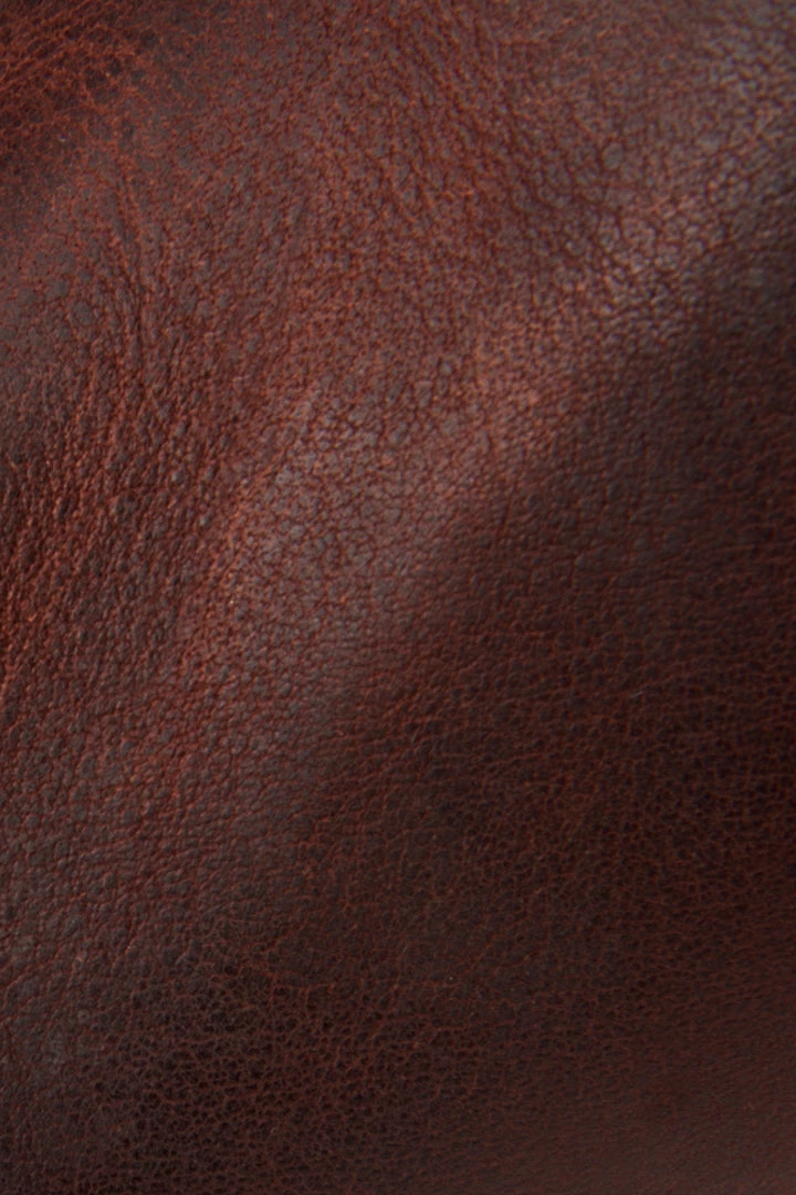 The Frye Company Melissa Belted Tall Wide Calf Women 7 The Frye Company Melissa Belted Tall Wide Calf Women