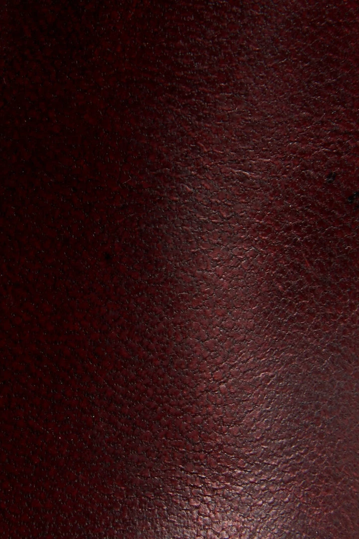 The Frye Company Sacha Chelsea Women 7 The Frye Company Sacha Chelsea Women