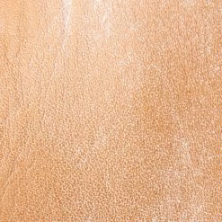 The Frye Company Veronica Bootie Women