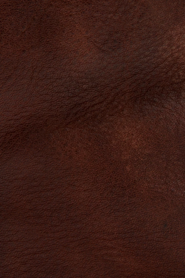 The Frye Company Veronica Short 7 The Frye Company Veronica Short