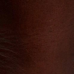 The Frye Company Women Melissa Stud Back Zip