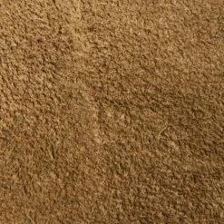 The Frye Company Women Veronica Short