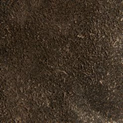 The Frye Company Veronica Strap Short