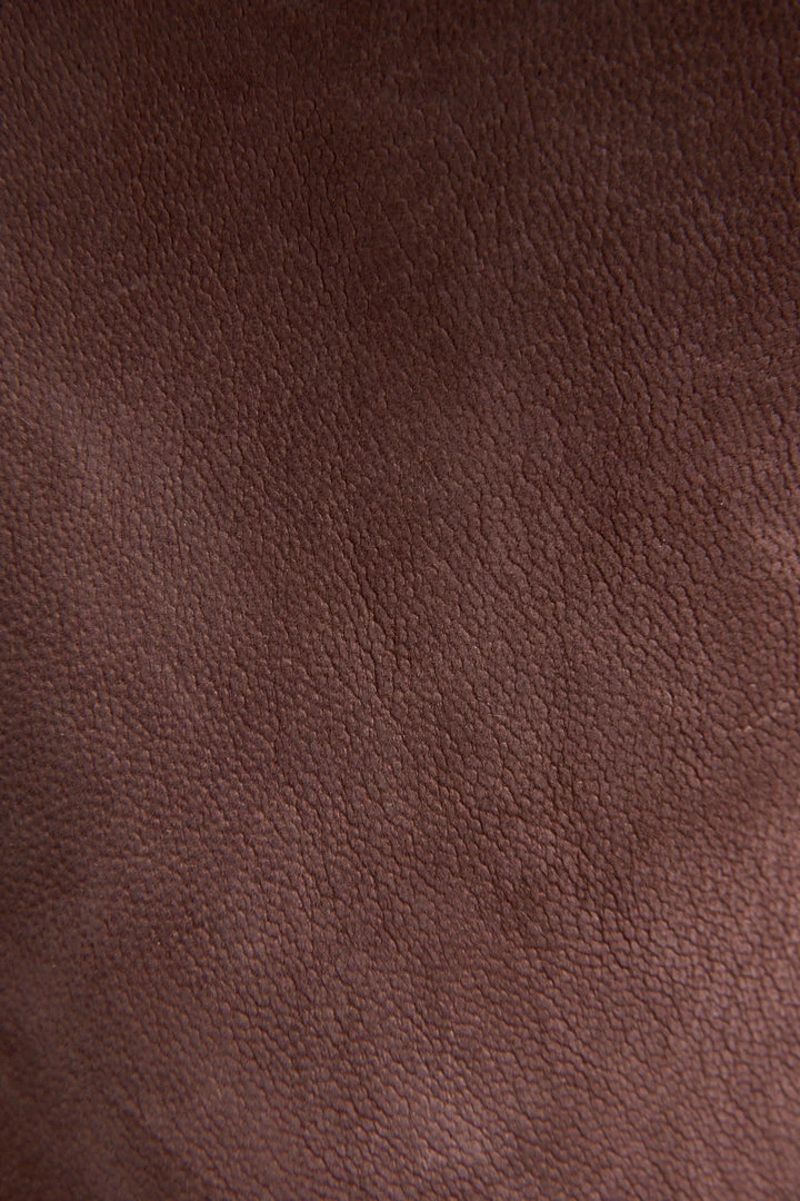 Frye & Co Caden Bootie Women 7 Frye & Co Caden Bootie Women