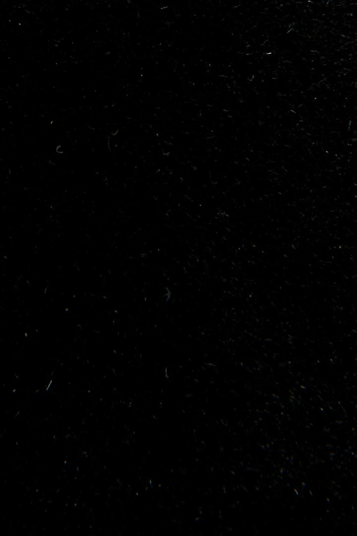 Frye & Co Jacy Chelsea Women 7 Frye & Co Jacy Chelsea Women