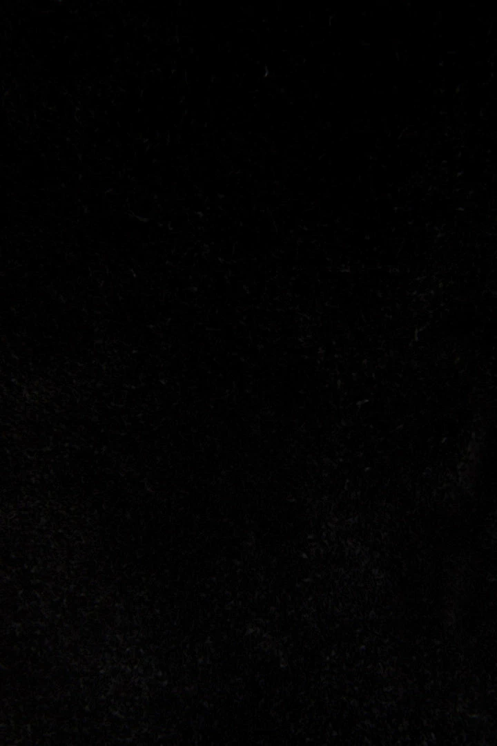 Frye & Co Phoebe Braid Bootie 7 Frye & Co Phoebe Braid Bootie