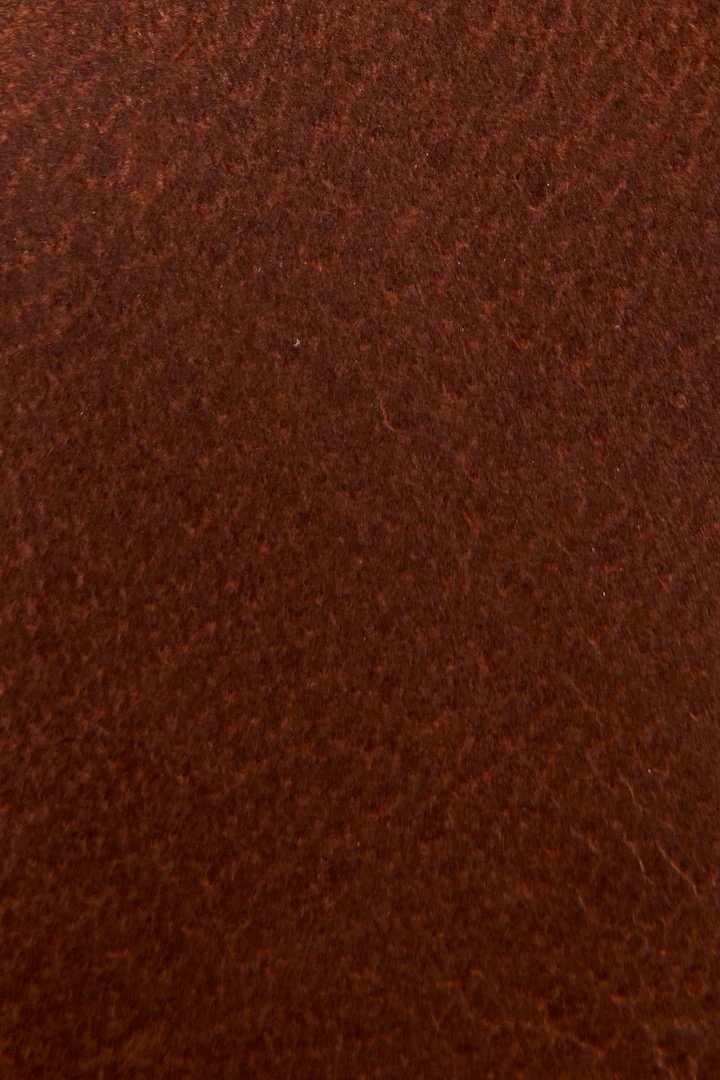 Frye & Co Rayner Hiker Women 7 Frye & Co Rayner Hiker Women