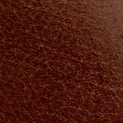 Frye & Co Rubie Moto Slip On