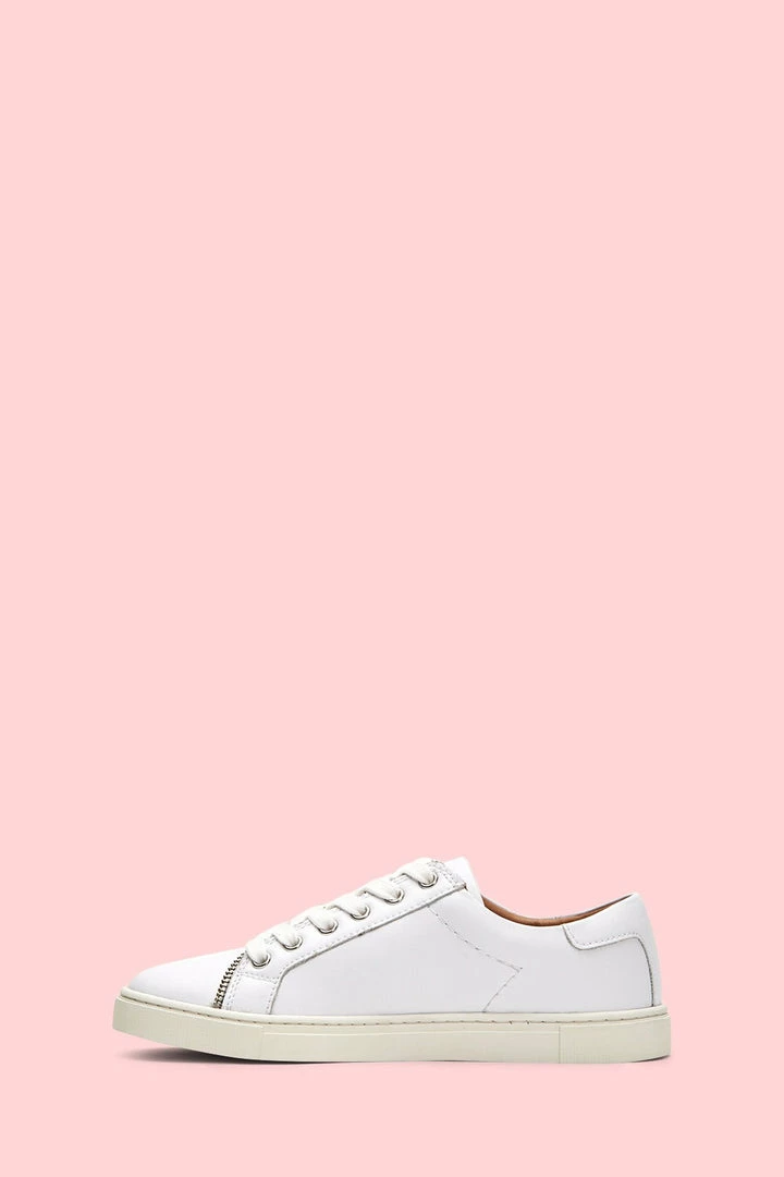 Frye & Co Women Sindy Moto Low 5 Frye & Co Women Sindy Moto Low