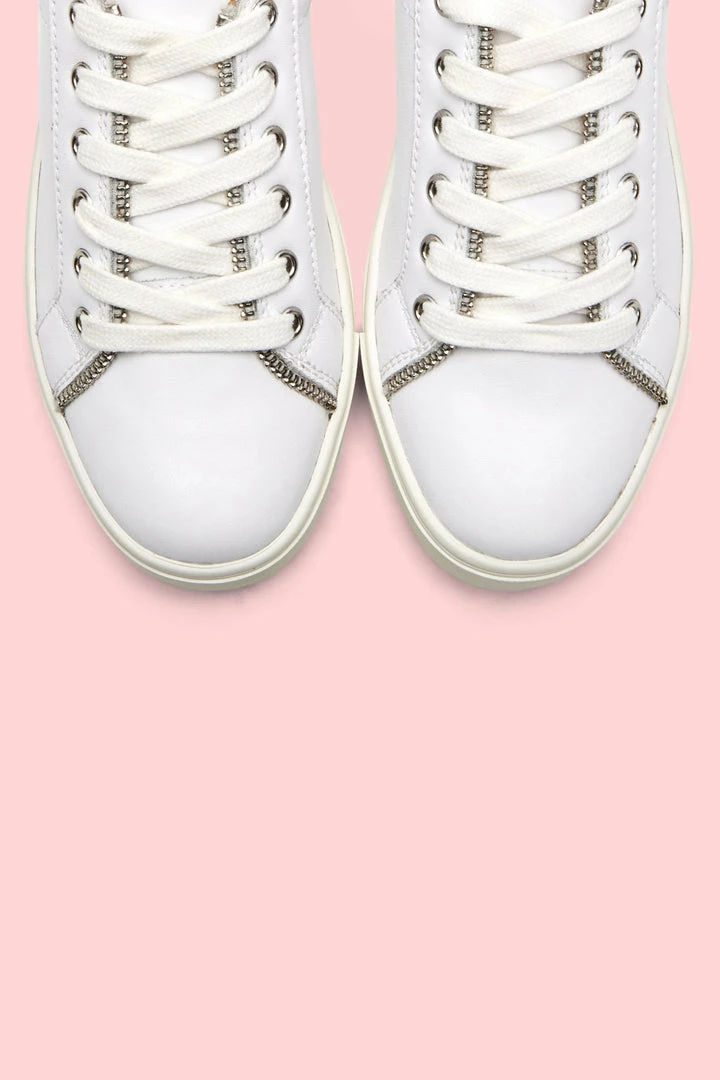 Frye & Co Women Sindy Moto Low 8 Frye & Co Women Sindy Moto Low