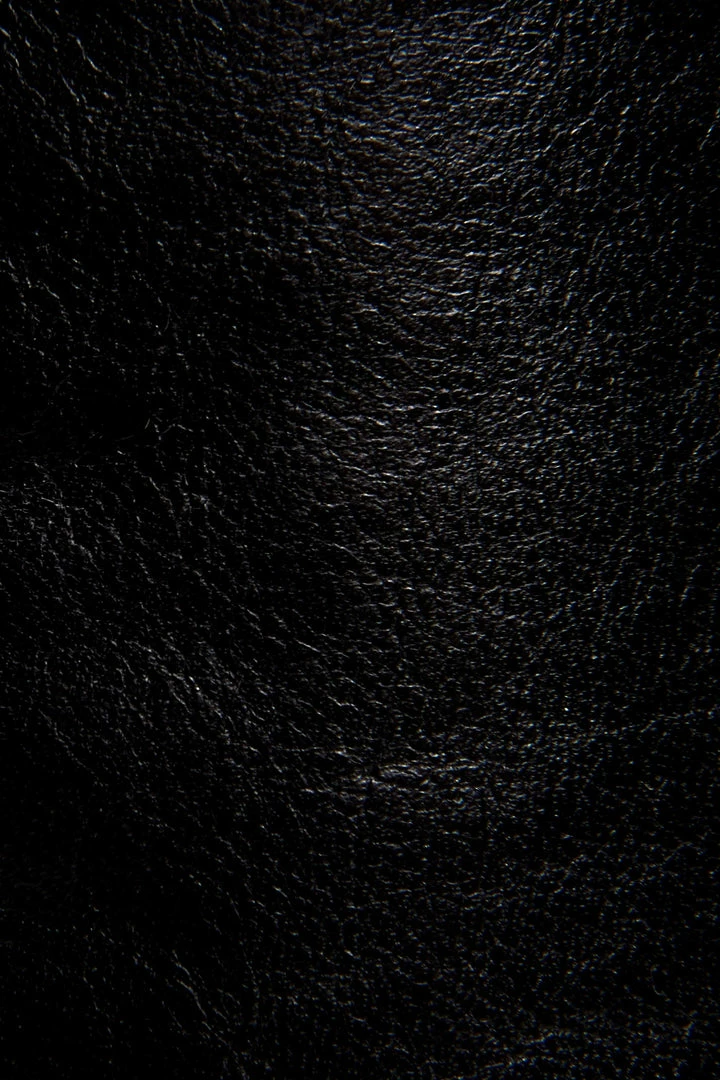 The Frye Company Billy Inside Zip Tall Women 7 The Frye Company Billy Inside Zip Tall Women