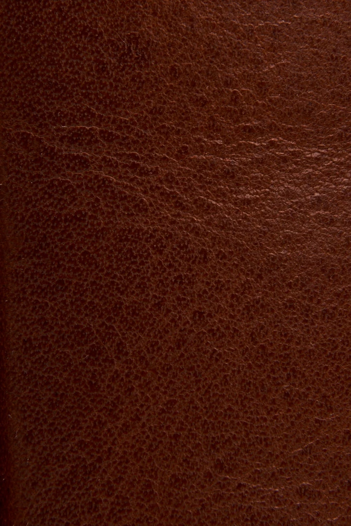 The Frye Company Billy Inside Zip Tall Wide Calf 7 The Frye Company Billy Inside Zip Tall Wide Calf