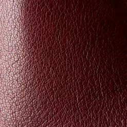 The Frye Company Women Ella Moto Chelsea