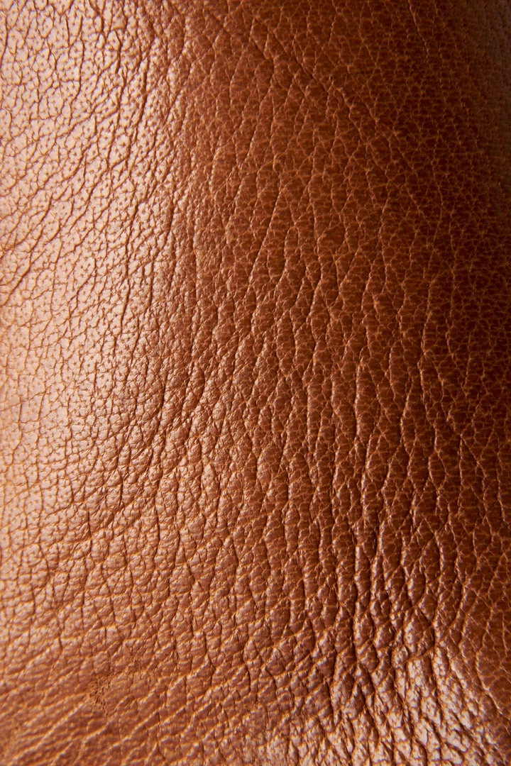 The Frye Company Women Ella Moto Chelsea 7 The Frye Company Women Ella Moto Chelsea