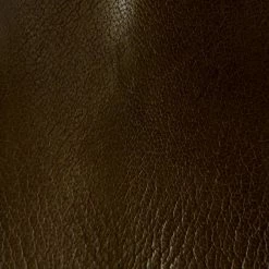 The Frye Company Ella Moto Chelsea Women