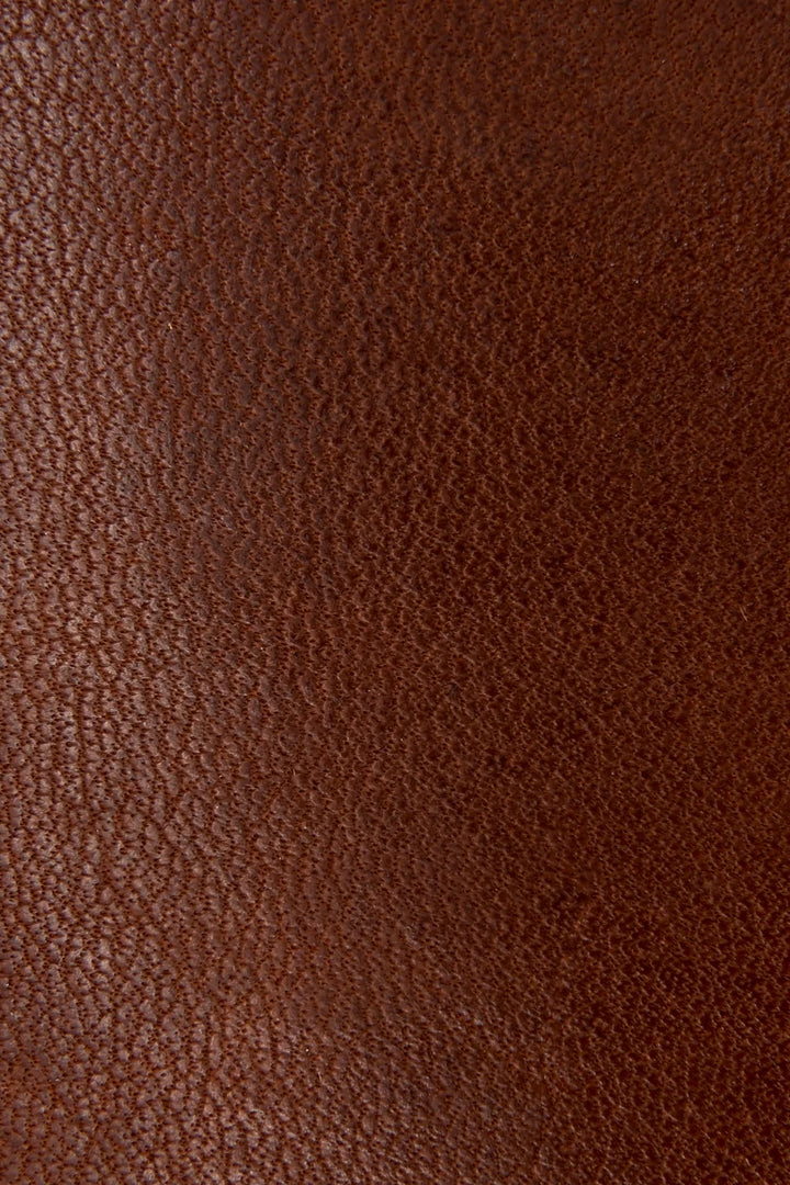 The Frye Company Essa Seam Harness Tall 7 The Frye Company Essa Seam Harness Tall