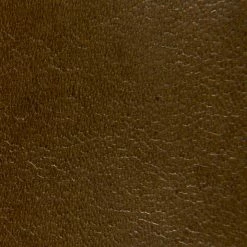 The Frye Company Flynn Short Inside Zip