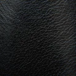 The Frye Company Flynn Omaha Short Women