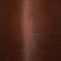 The Frye Company Women Flynn Short Inside Zip