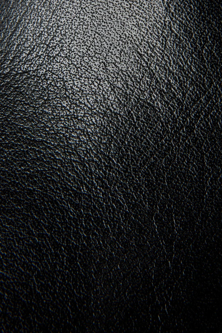 The Frye Company Veronica Deco Short 6 The Frye Company Veronica Deco Short