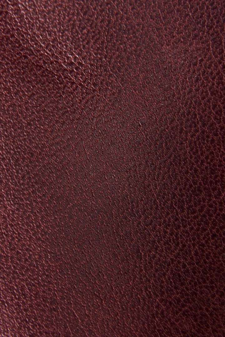 The Frye Company Veronica Stud Bootie Women 7 The Frye Company Veronica Stud Bootie Women