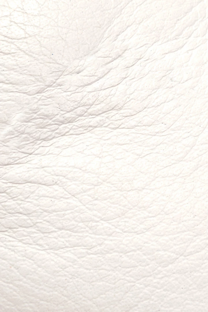 The Frye Company Women Lena Zip Low 7 The Frye Company Women Lena Zip Low