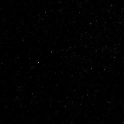 Frye & Co Women Bryn Perf Sandal 13 Frye & Co Women Bryn Perf Sandal