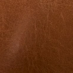 Frye & Co Women Jacy Mule