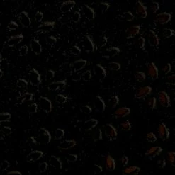 Frye & Co Jacy Perf Mule Women