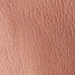 The Frye Company Dani Shield Sling